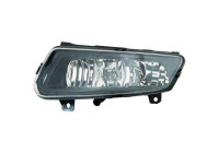 Fog lamp 2206389 Diederichs