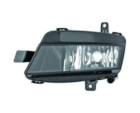Fog lamp 2216088 Diederichs