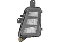 Fog lamp 2216688 Diederichs