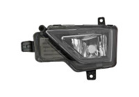 Fog lamp 2216789 Diederichs