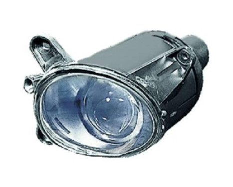 Fog lamp 2246088 Diederichs