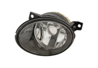 Fog lamp 2276089 Diederichs