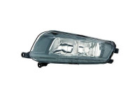Fog lamp 2291089 Diederichs