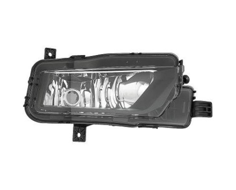 Fog lamp 2297688 Diederichs