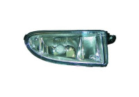 Fog lamp 2605089 Diederichs