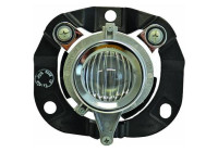 Fog lamp 3042088 Diederichs