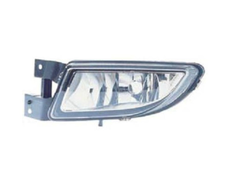 Fog lamp 3463089 Diederichs