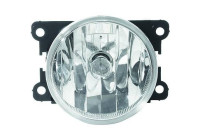 Fog lamp 4226188 Diederichs