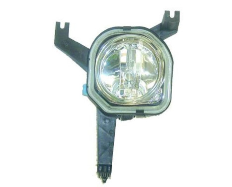 Fog lamp 4233188 Diederichs