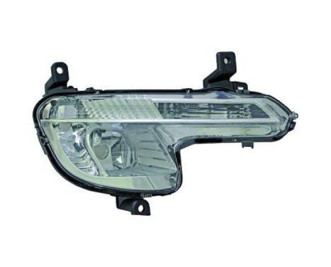 Fog lamp 4244088 Diederichs