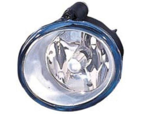 Fog lamp 4463088 Diederichs