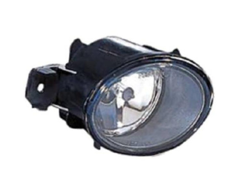 Fog lamp 4473089 Diederichs
