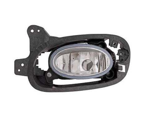 Fog lamp 5241189 Diederichs