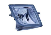 Fog lamp 5626089 Diederichs