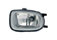 Fog lamp 6023189 Diederichs