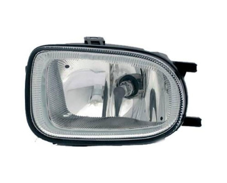 Fog lamp 6023189 Diederichs