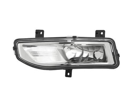 Fog lamp 6026089 Diederichs