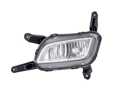Fog lamp 6533089 Diederichs