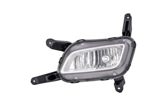 Fog lamp 6533089 Diederichs