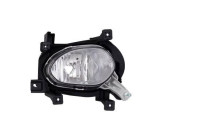 Fog lamp 6554086 Diederichs