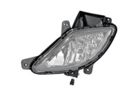 Fog lamp 6806889 Diederichs