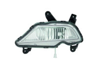 Fog lamp 6807088 Diederichs