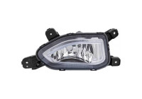 Fog lamp 6815088 Diederichs