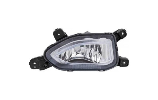 Fog lamp 6815088 Diederichs