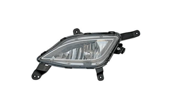 Fog lamp 6836089 Diederichs