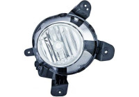 Fog lamp 6853089 Diederichs