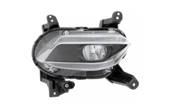 Fog lamp 6872188 Diederichs