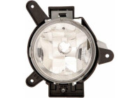 Fog lamp 6932089 Diederichs