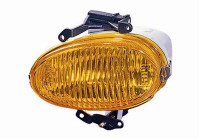 Fog lamp -7/01 left White 8202995 Van Wezel