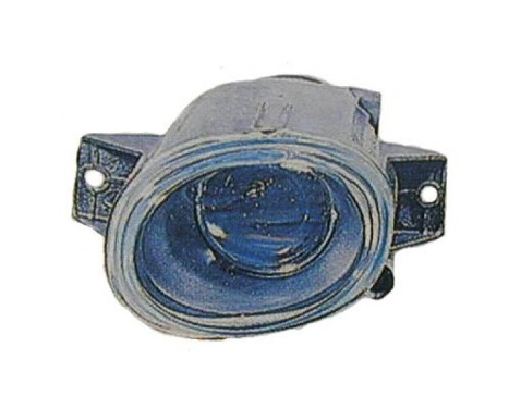 Fog lamp 7431088 Diederichs