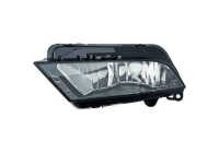 Fog lamp 7433088 Diederichs