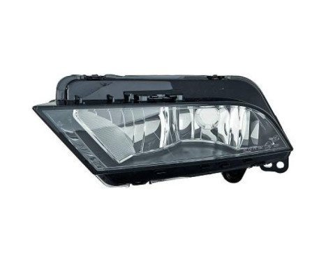 Fog lamp 7433088 Diederichs