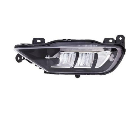 Fog lamp 7677089 Diederichs