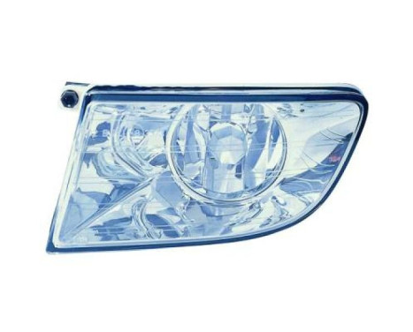 Fog lamp 7831088 Diederichs