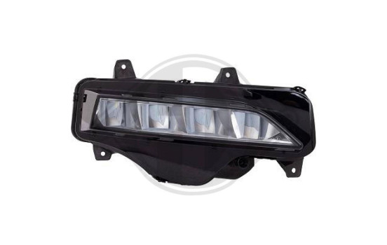 Fog lamp 7833088 Diederichs