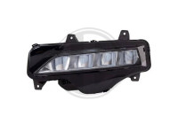 Fog lamp 7833089 Diederichs