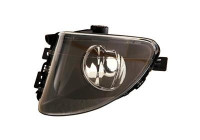 Fog lamp not heated H8 left 0617995 Van Wezel