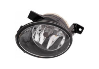 Fog lamp Priority Parts 2215189 Diederichs