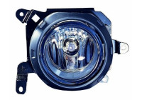 Fog lamp