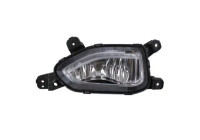 Fog lamp