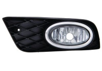 Fog lamp