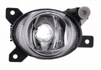 Fog Light 19-0493-01-2 TYC