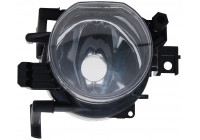 Fog Light 19-0660-01-9 TYC