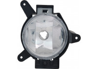 Fog Light 19-0980-01-2 TYC