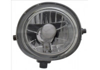 Fog Light 19-6089-11-9 TYC
