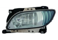 Fog Light